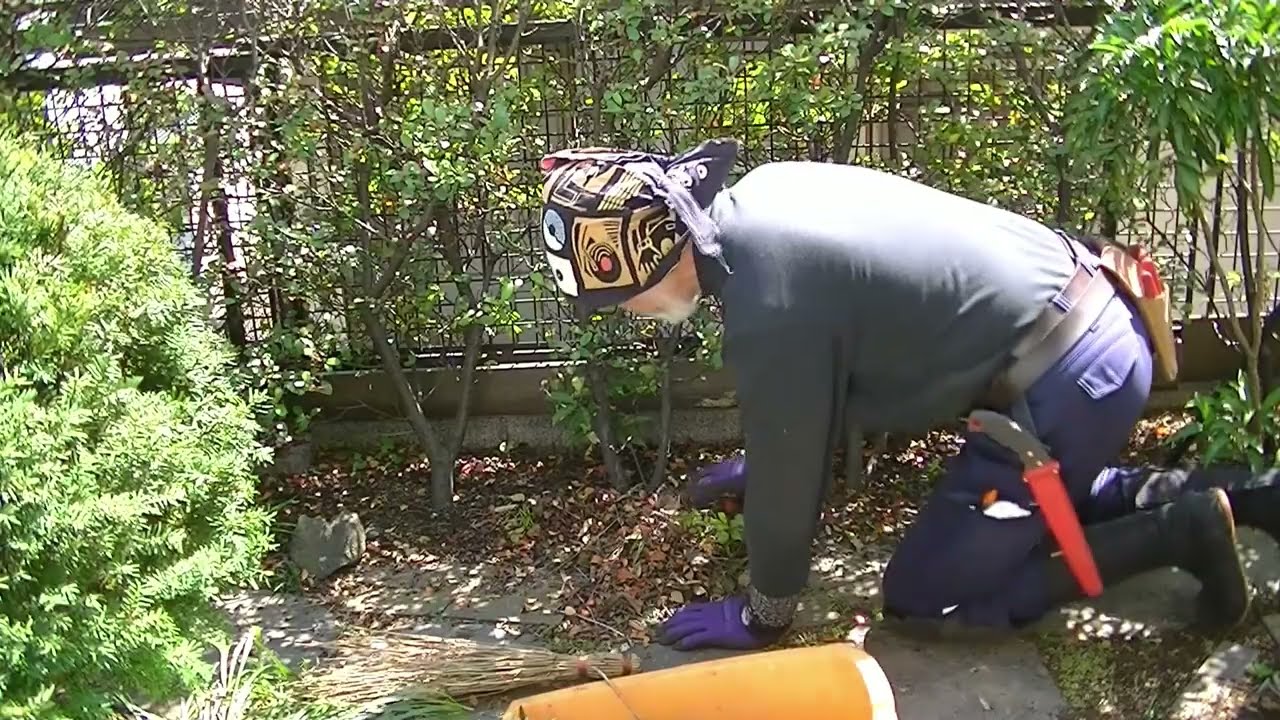 No.269_ 剪定と片付けの作業効率