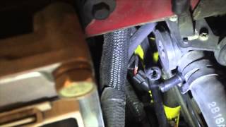 Ford Expedition Error Codes P0171, P0174