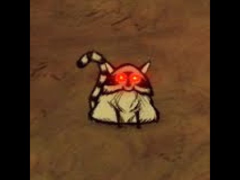 Year of Catcoon for Wortox Mains