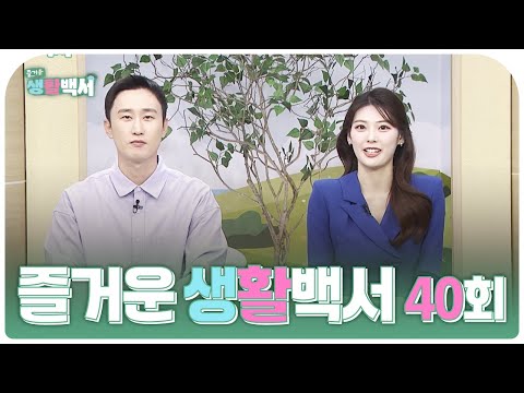 즐거운 생활백서