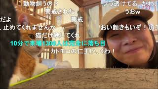 2026/04/18 15:00【かなた@ニコ生】猫カフェ行くニャ〜🐈💕