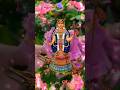 Jay Khodiyar Maa Status Jaykhodiyar Khodal Raj Khodal Maa Sorts