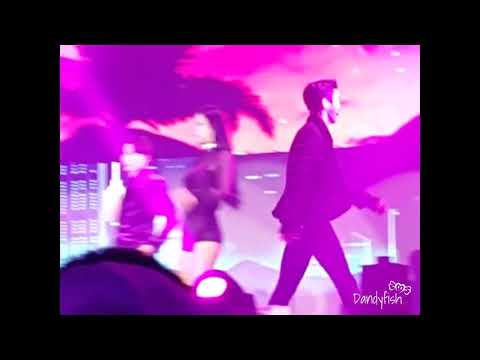 181111 SS7 Encore in BKK - Animals (Siwon Focus)