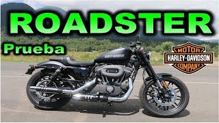 Harley-Davidson  Roadster- Prueba Review en español