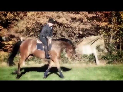 Imagefilm der Gotthold Haller Spedition GmbH