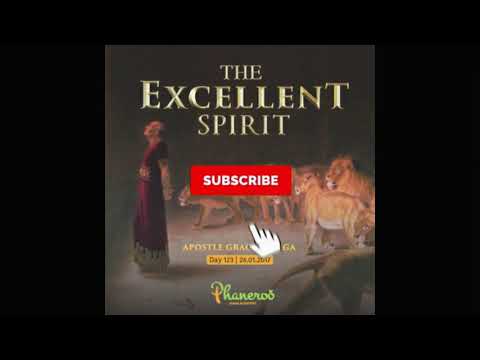 The Excellent Spirit