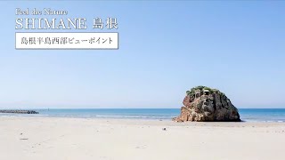 vignettes vidéo