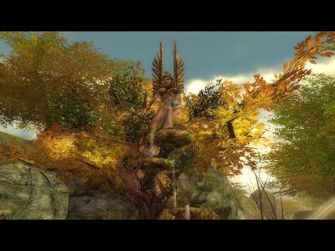 Guild Wars Reforged - Melandru's Accord Update is not (yet) what you think