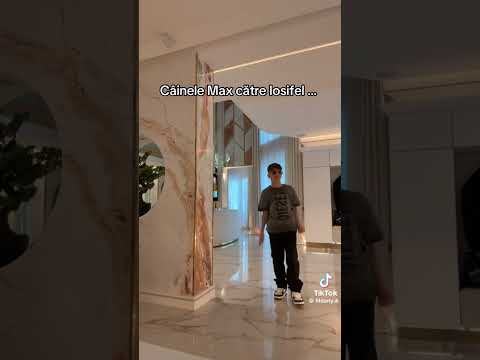 Lil dany tik tok::duo-@Loisucis:: #5pasidebine #vaiubescpetoti #fanpage #foryou ::