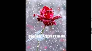 Rose X mas The VIBE Family Merry Christmas