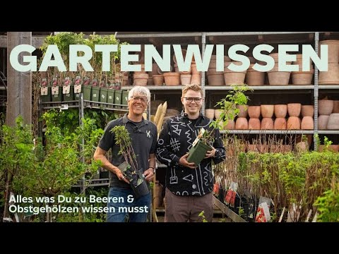 🫐 Obst aus dem eigenen Naschgarten? Die besten Beeren & Obstsorten für Balkon & Garten! 🌳🍒