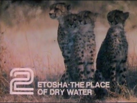 Thursday 30th December 1982 BBC2 - The World About Us - Front Garden - Etosha - Christmas lecture