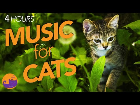 FAST ACTION Relaxation Music for cats - Works Instantly to Calm Your Cat