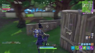 ［FORTNITE］フォートナイトライブ参加型  スイッチ .PS4 ．PC&初見さん大歓迎！