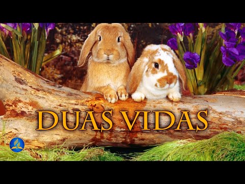 Hinário Adventista 448 - DUAS VIDAS