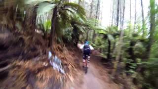 preview picture of video 'Eagle vs Shark Rotorua MTB Trail'