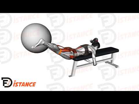 Exercice Hyperextensions inversées avec ballon (Swiss Ball)