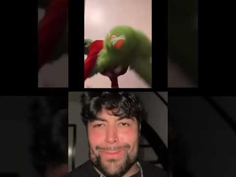 Grinch Butt For Tree