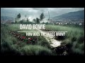 David Bowie - How Does the Grass Grow (lyrics video with AI generated images)