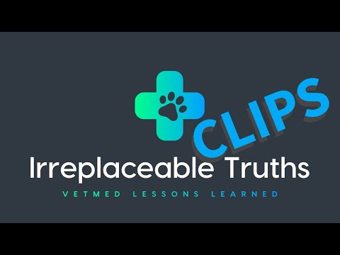 Train Your Own Service Dog | Atlas Empowers Disabled Handlers with Support | Irreplaceable Truths
