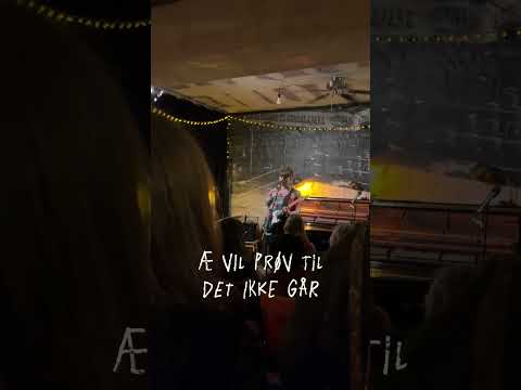 Steil Vind - Anna Kajander