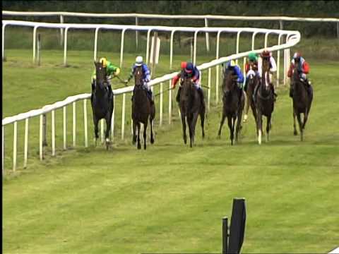 Galopprennbahn Dresden - 01.08.2015 - 6.Rennen