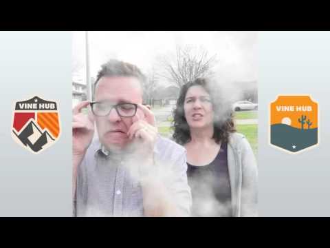 Best Vines 2016 — _Summerella_, Cameron Dallas, Arielle Vandenberg, 4everkelz, Wahlid Mohammad