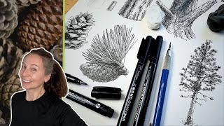How to Draw Pine Cones and Trees | Studies in Pen and Ink
