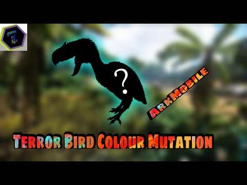 Breeding Terrorbird for colour mutation|Arkmobile|