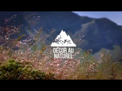 download lagu mp3 mp4 el Club Alpes Du Sud Ete, download lagu el Club Alpes Du Sud Ete gratis, unduh video klip el Club Alpes Du Sud Ete