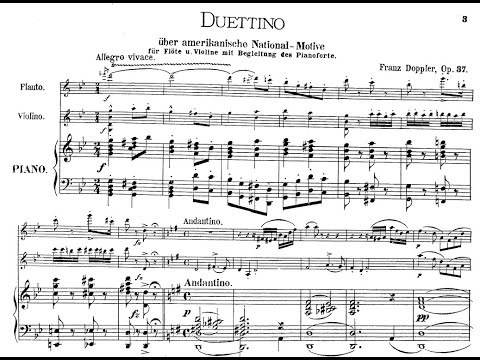 Franz Doppler - Duettino americain, Op.37