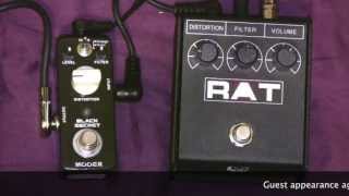 Mooer Black Secret Rat Clone Vs ProCo Rat Distortion Pedal Comparison