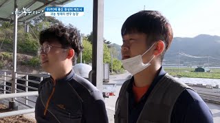 [나는 농부다] 우(牛)애 좋은 환상의 짝꿍, 백 년 한우 2부