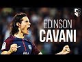 Edinson Cavani 2017 - Skills and Goals