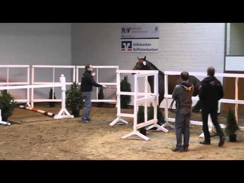 Number One M&M  stallone 2011 Numero Uno/Gragenit/Larome