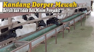 Download lagu Kandang Domba Dorper Model baru Modern,Konsep Ramah lingkungan, bersih dan tidak bau mp3 Download lagu Kandang Domba Dorper Model baru Modern,Konsep Ramah lingkungan, bersih dan tidak bau mp3