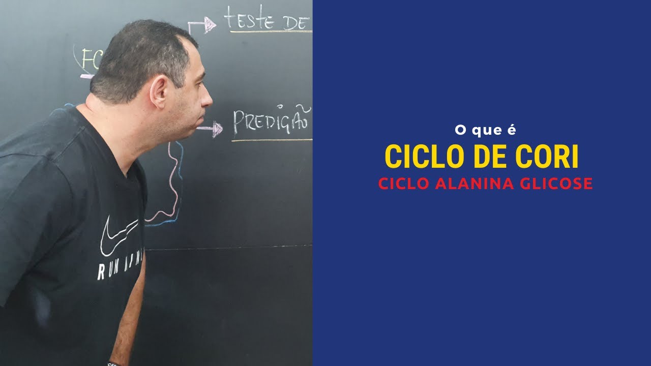 O que é Ciclo de Cori? (Cliclo Alanina Glicose)