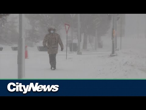 Polar Vortex could hit Canada in February