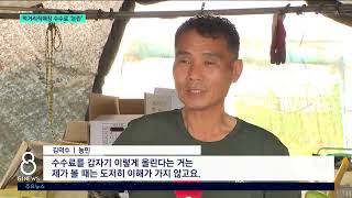 [G1뉴스]춘천 먹거리 직매장 수수료 '시끌'