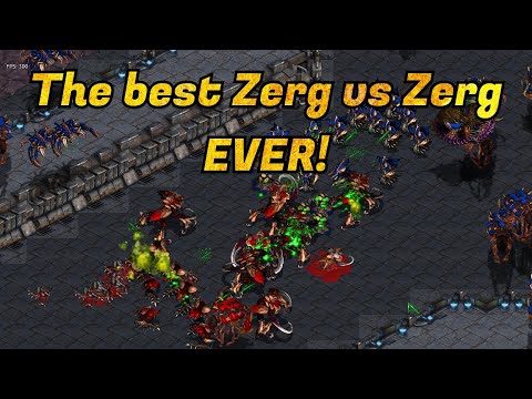 The Best Zerg vs Zerg ever! Mepo vs Byul kick off a best of set!