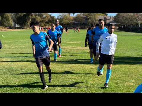 Ariana FC vs Costa Chica highlights