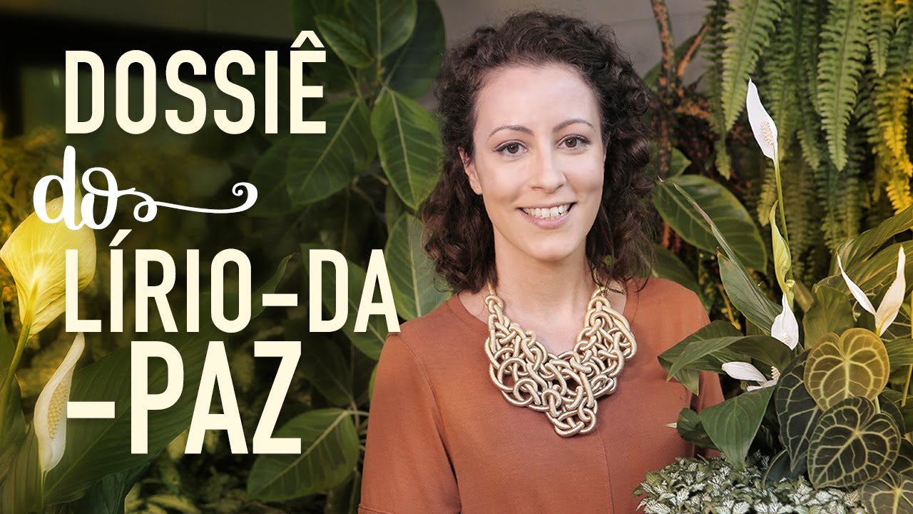 Como cuidar do LÍRIO-DA-PAZ para FLORIR