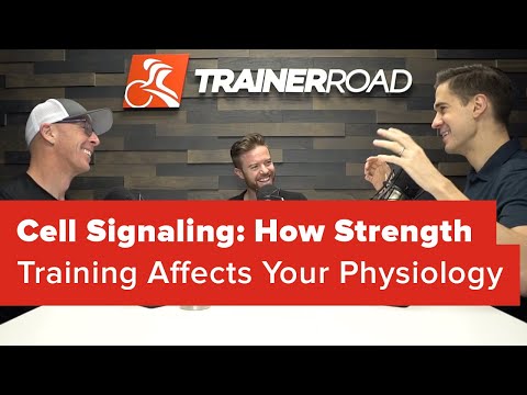 Cell Signaling: How Strength Training Affects Your Physiology (Ask a Cycling Coach Ep 236)