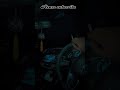 Kitna Pyara Pyara Hai Sama Song WhatsApp Status Https Www Youtube Com Cuteshaikh