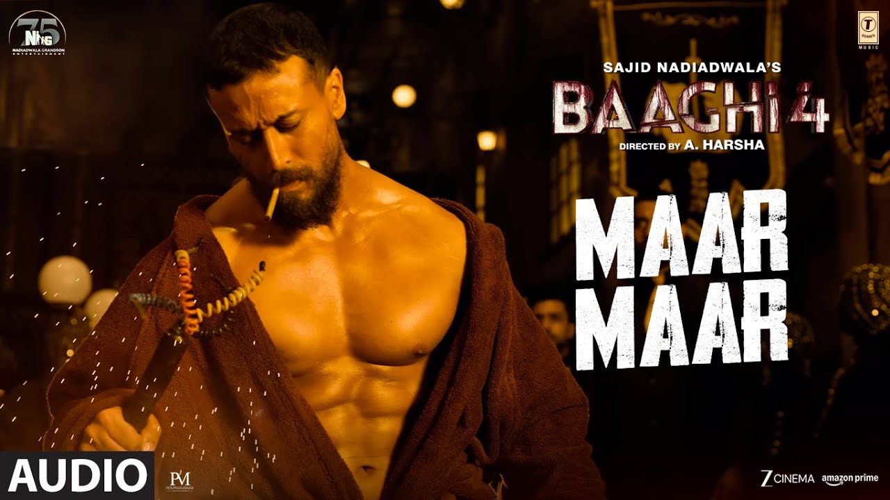Marjaana Lyrics – B Praak | from Baaghi 4