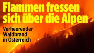 Waldbrand in Österreicher Alpen: Feuerwehr im Großeinsatz gegen die Flammen!
