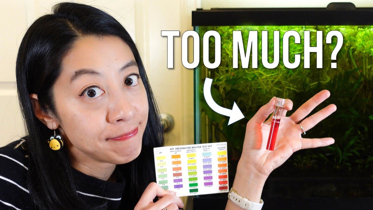 What causes high nitrate levels in water? More REF