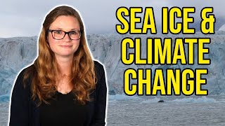 Using Maths to Solve Climate Change