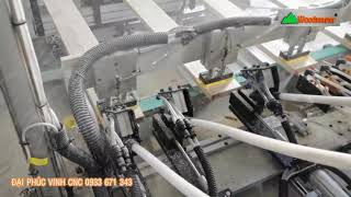 Máy Cắt, Khoan 2 đầu, Cấy Chốt Gỗ Tự Động Woodmaster