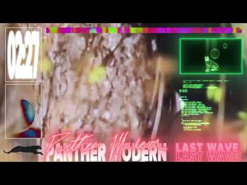 Panther Modern - Last Wave (Official Visualizer)